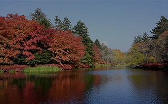 Enjoy the autumn foliage season: Recommended ways to spend the fall