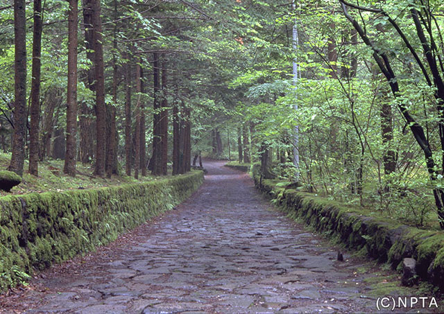 Karuizawa Valley of Happiness / Karuizawa Town