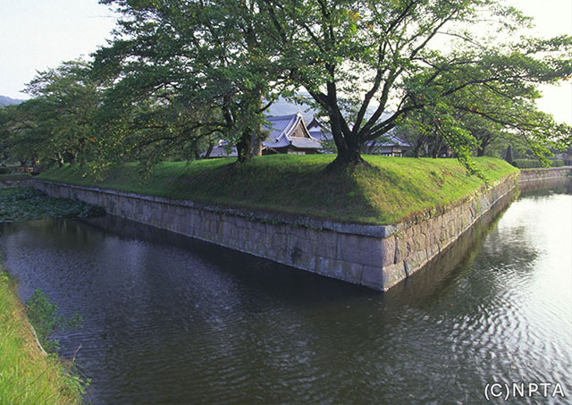 Tatsuoka Castle Goryokaku / Saku City