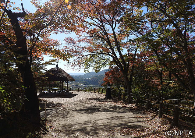 Kaikoen Autumn Leaves Festival / Komoro City