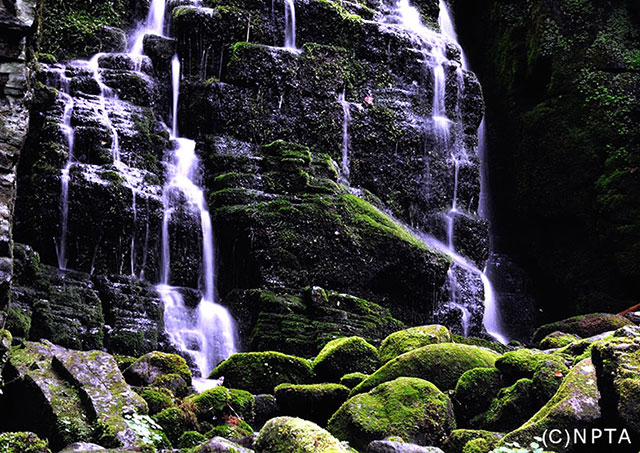 Gosenzui Nature Park / Tateshina Town