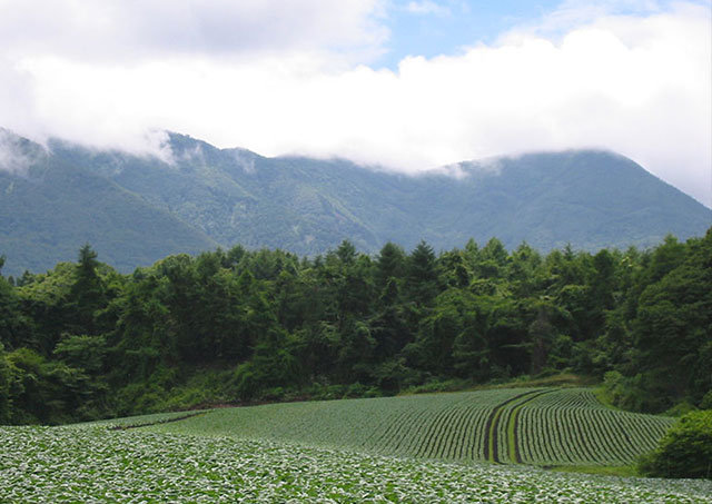 Tsumagoi Village / Agatsuma District, Gunma Prefecture