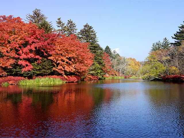 Kumoba Pond