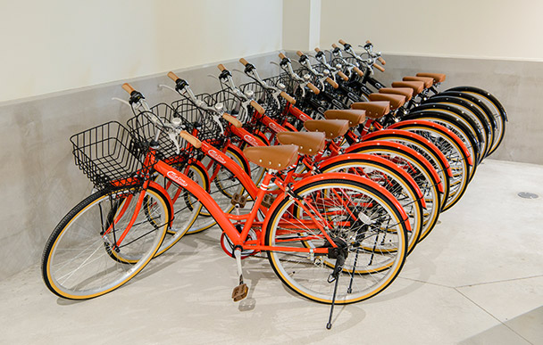 Bicycle rental