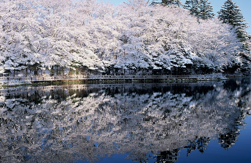 Kumoba Pond