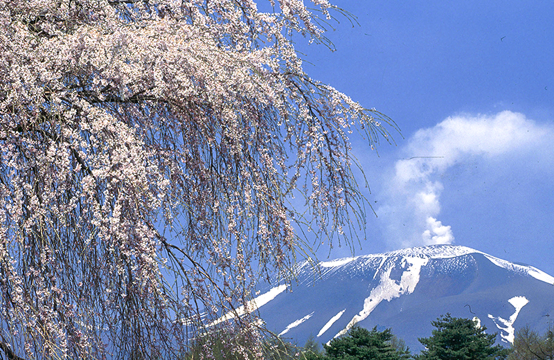 Mount Asama