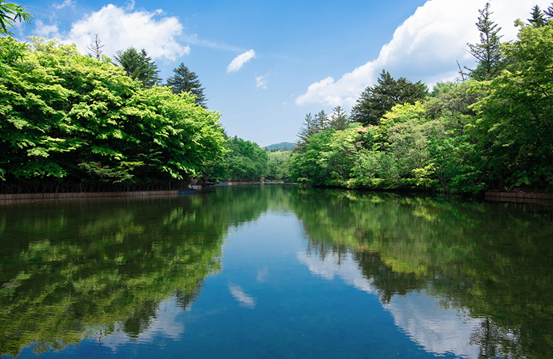 Kumoba Pond