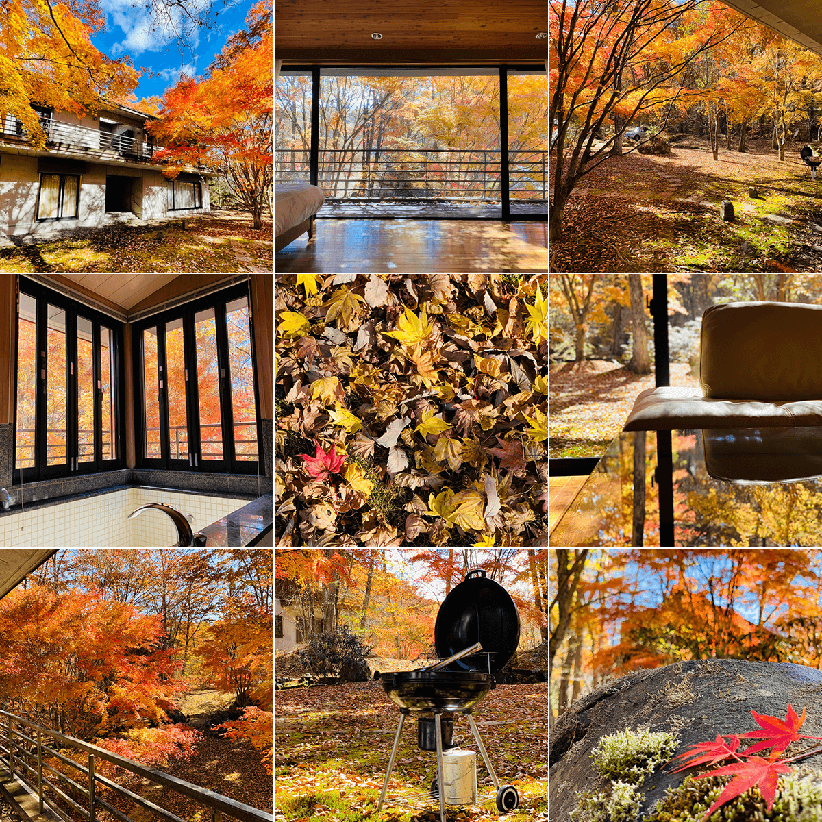 Autumn Eclatant Image